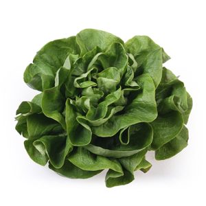 Zelena salata puterica