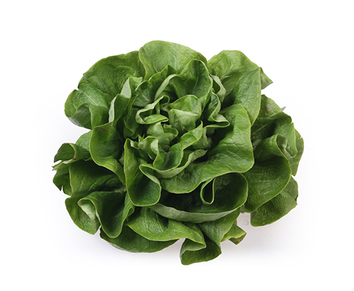 Zelena salata puterica